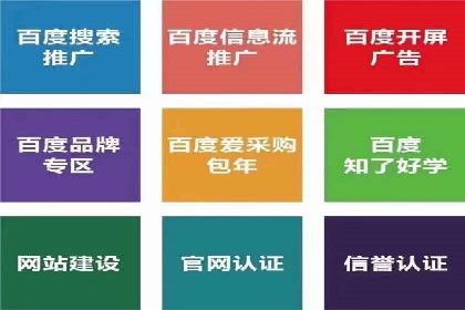 SEM代运营服务公司案例分析：数据驱动营销策略